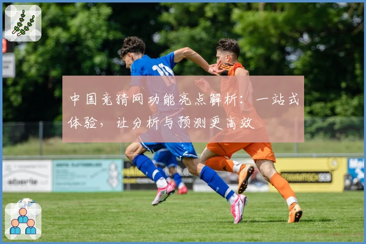 中国竞猜网功能亮点解析：一站式体验，让分析与预测更高效