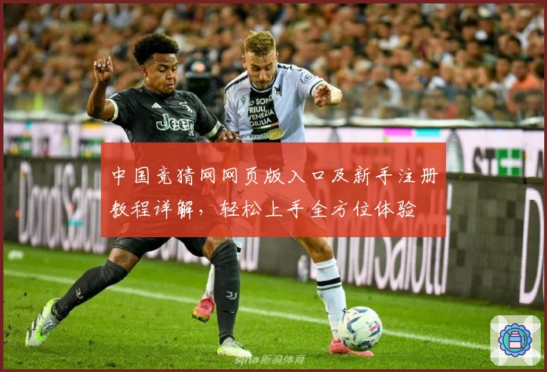 中国竞猜网网页版入口及新手注册教程详解，轻松上手全方位体验